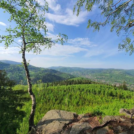 Apartamenty Ski & Fun Spokojna วีสวา ภายนอก รูปภาพ